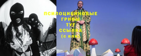 гидропоника Красноперекопск
