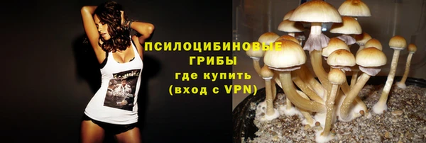 крисы Краснотурьинск