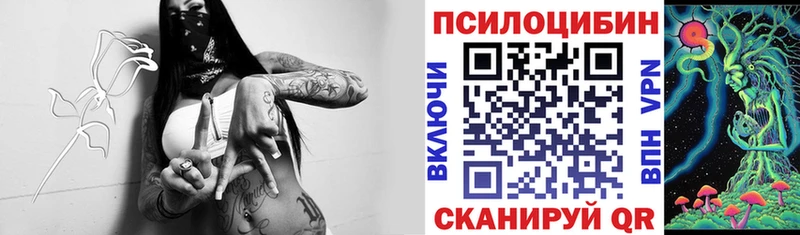 Псилоцибиновые грибы Psilocybe  Купить где  Белинский 